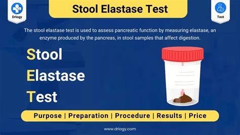 The role of fecal elastase